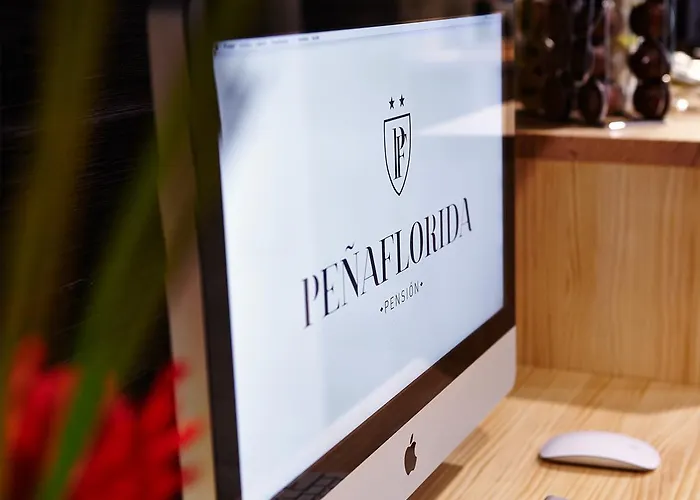 Πανσιόν Penaflorida 2*